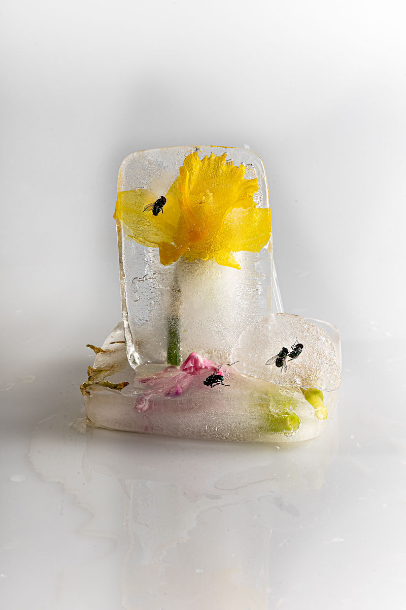 Jezelf terugvinden na je ziekte